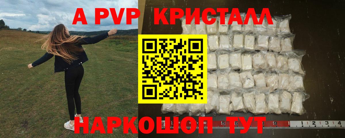 A PVP крисы CK  Вход с VPN  А ПВП СК  Отрадный 